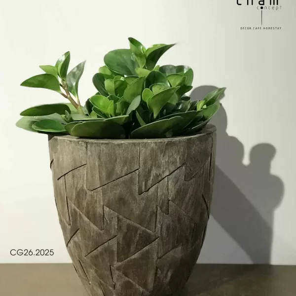 chậu gỗ decor đồ trang trí handmade đô gỗ chậu lục bình đồ thủ công mỹ nghệ CG26 1