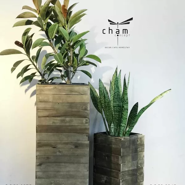 chậu gỗ decor đồ trang trí handmade đô gỗ chậu lục bình đồ thủ công mỹ nghệ CG59 1