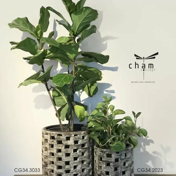 chậu gỗ decor đồ trang trí handmade đô gỗ chậu lục bình đồ thủ công mỹ nghệ cg34 1