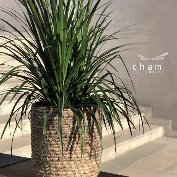 chậu lục bình đồ trang trí decor đồ thủ công mỹ nghệ CLB05 1